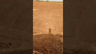 Sambaramba  Sambaramba