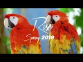 Download Lagu Dj Rise  - Spring 2019 (Törölt 1 milliós Mix)