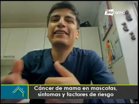 Cáncer de mama en mascotas síntomas y factores de riesgo