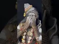 Download Lagu Tan me bhasm lagaye Shankar #shankar #shiv #mahadev #bholenath #mahakal #shorts #new #song #short