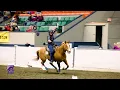 Saddle up for the 2026 Versatile Horse Rider Competition sponsored by Chewy