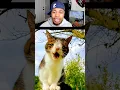 Animals With Down Syndrome