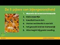 De 6 pijlers van bijengezondheid