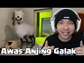 Download Lagu Awas Ada Entity Anjing Galak- The Classrooms Indonesia Part 4
