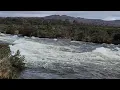 Rainbow Trout Spawning in Liawenee