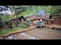 Download Lagu Hidup di Desa, Berani Sekali Satu Keluarga Tinggal di Rumah Tengah Hutan Tanpa Tetangga