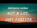 NOT A LOT JUST FOREVER_Adrianne Lenker(lyrics)
