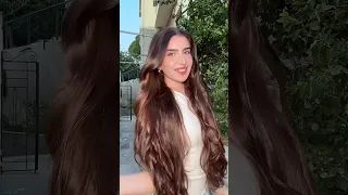 أغنية كيفو الشامي 