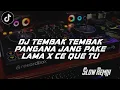 Download Lagu DJ TEMBAK TEMBAK PANGANA JANG PAKE LAMA X CE QUE TU MAIMES FT ALL BREAKBEAT REVERB VIRAL 2024