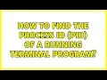 Ubuntu How to find the Process ID PID of a running terminal program