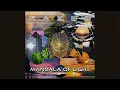 Download Lagu Mandala of Light | Zazen Meditation Music (Full Album)