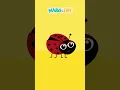 Download Lagu JOANINHA | Série Formas  @maboefifi   #desenhoinfantil