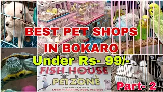 Best Pet Shops in BOKARO Pets UNDER 1 20 Part - 2