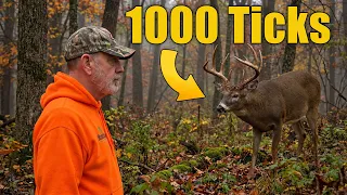 The Tick Infestation: Why Deer Are Covered and How to Protect Yourself