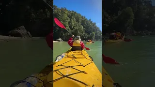 Kayaking with @abeltasmankayaks in @purenewzealand on the Remote Marine Reserve trip