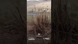 من المهم نكون مسؤولين عن كل أرض في بلدنا وحمايتها 