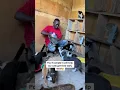 Download Lagu A simple hey will help these cats get there daily meals please comment on my videos for sake of food