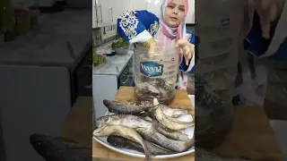                                           دندنها