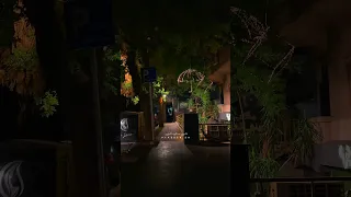 غدي لما شفتك طليتي باشق مجروح 