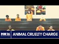 Deer Park woman charged with animal cruelty