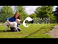 Stories that Inspire Dubuque Regional Humane Society