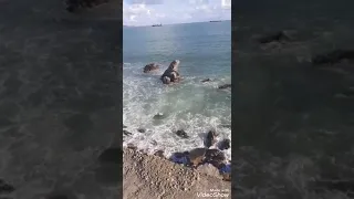 شيخ بوبكر حطالي جار علينا الهم 