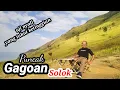 Download Lagu Bentangan Savana rumput hijau di Puncak Gagoan Kabupaten Solok Sumbar