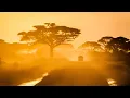 Lagu MORNING forest SOUNDS from Africa | Relaxing sunrise sounds to help with sleep or studying