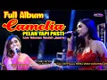 Download Lagu THE BEST FULL ALBUM !! CAMELIA PELAN TAPI PASTI LIVE TENDOK TAHUNAN  JEPARA