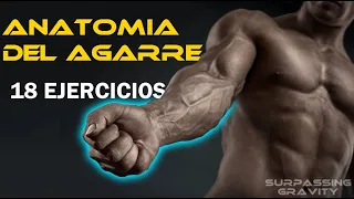 Anatomía del agarre - 18 Ejercicios