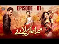 Download Lagu Mera Yaar Miladay Episode 1 | Faysal Qureshi | Sajjal Ali | Ahmed Ali Akbar | ARY Digital