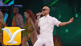 ozuna te vas dile que t me quieres festival de la canci n de vi a del mar 2020 full hd