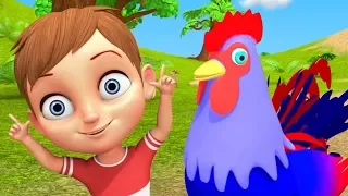 kukdoo koo nursery rhymes in hindi on animals animals sounds in hindi hindi poems