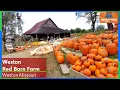 Top KC Area Fall Activities - Weston Red Barn Farm in Weston Missouri
