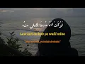Download Lagu Nancy Ajram - Inta Eih ( lyrics arab, latin, dan terjemahannya)