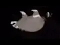 uptown funk but it s low quality