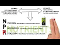 GC101 Beginner s General Overview RLSLEaAoZX4