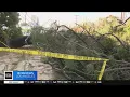 Car crashes into Van Nuys apartment complex while driver attempts to avoid falling tree