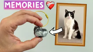 Our Cats Will Be With Us Forever ❤️