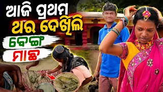 ଆଜି ଏମିତି ମାଛ ଦେଖି ଆଶ୍ଚର୍ଯ୍ୟ ll @tribevloggerrani9457 