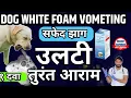 Dog Vomiting White Foam Dog Vometing Treatment Dog Vomiting After Eating Treatment In Hindi