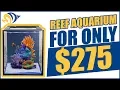 Download Lagu We Built a Reef Aquarium For Only $275. Here's How We Did It!
