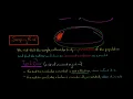 Sampling Risk vs Nonsampling Risk