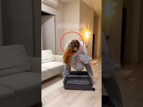¡Escondió a su esposa en una maleta!😱#catsoftiktok  #cat #cutecat #funnycats #catcartoon #fyp #cute