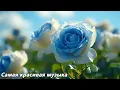 Download Lagu Прекрасная музыка🌿Прекрасные цветы🌿Прекрасные мелодии, от которых мурашки по коже, Сергей Грищук