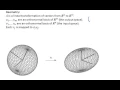 Singular value decomposition