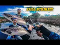 Download Lagu FULL STRIKE DIPENGHUJUNG MUSIM KEMARAU..!!! ||CASTING TOMAN 