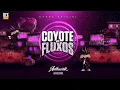 Download Lagu AUTOMOTIVO FENOMENAL - MC GW e MC VUK VUK - DJ NOVATO - (COYOTE DOS FLUXOS) 2025