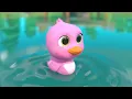 5 Little Ducks song | Newborn Baby Songs & Nursery Rhymes