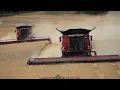 Download Lagu Case - John Deere / Getreideernte - Grain Harvest